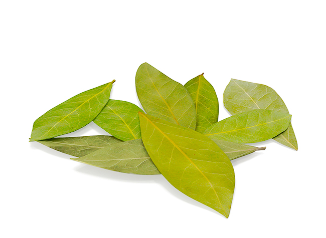 Bay Leaves