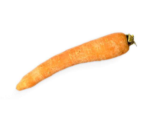 Carrot