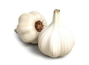 Garlic