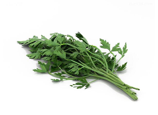 Parsley