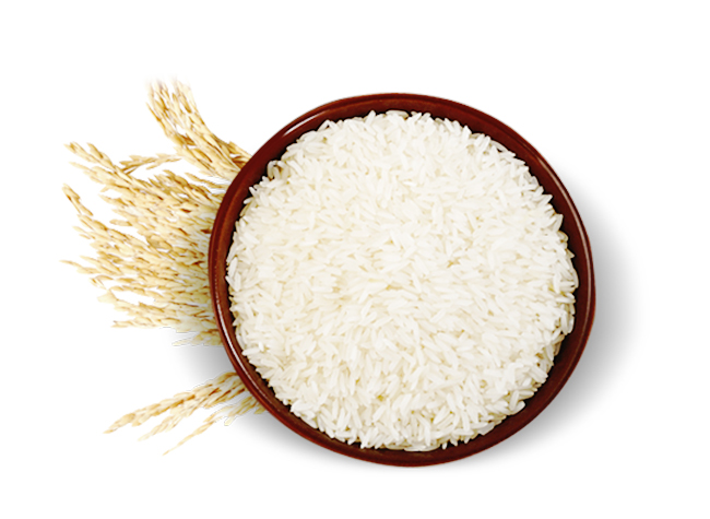 White Rice