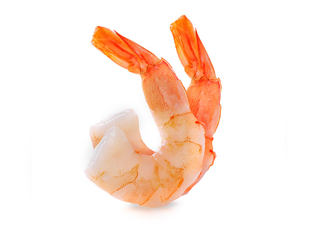 Shrimp